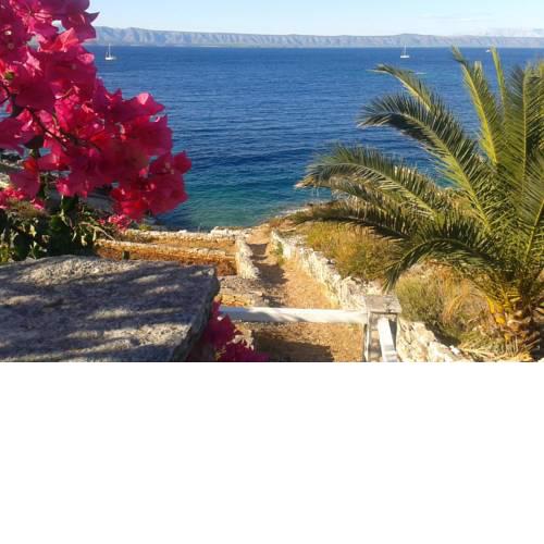Secluded fisherman's cottage Cove Stiniva bay - Stiniva (Korcula) - 11389