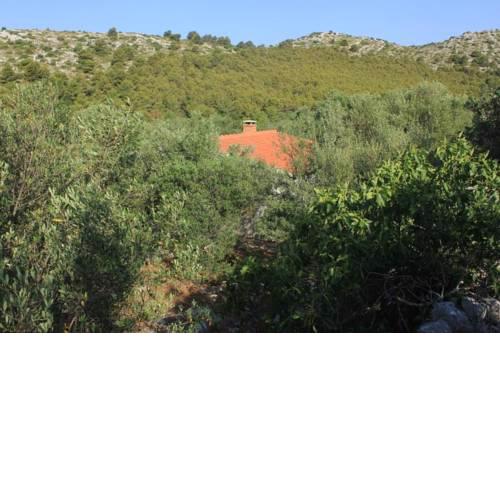 Secluded fisherman's cottage Cove Telascica - Magrovica bay - Magrovica - Telascica (Dugi otok) - 8122