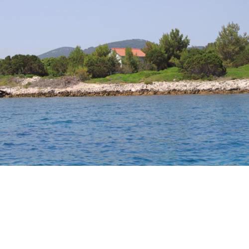 Secluded fisherman's cottage Krknata (Dugi otok) - 8150