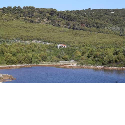 Secluded holiday house Cove Jaz - Telascica (Dugi otok) - 8176