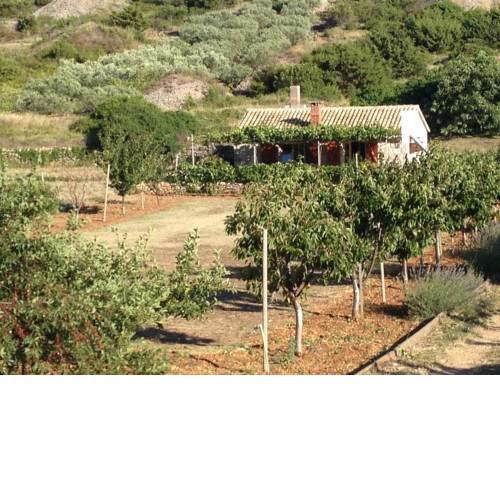 Secluded house with a parking space Podhumlje (Vis) - 13984