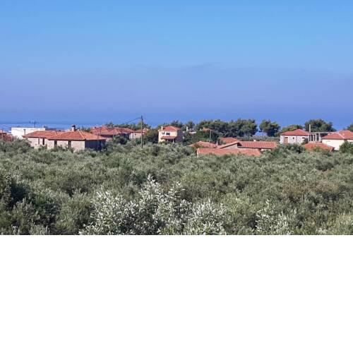 SELINITSA Studio