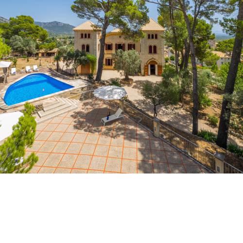 Selva - 246984