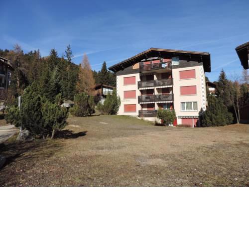 Selva A (394 Ru)