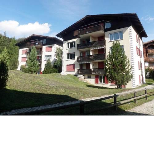 Selva B (366 Le)