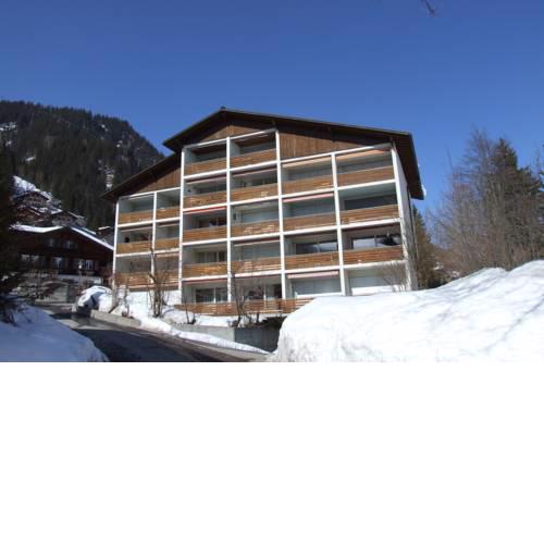 Selva