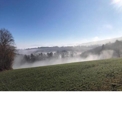 Senator Flat Tümmelhofweg Die Nr.1 vom Wienerwald