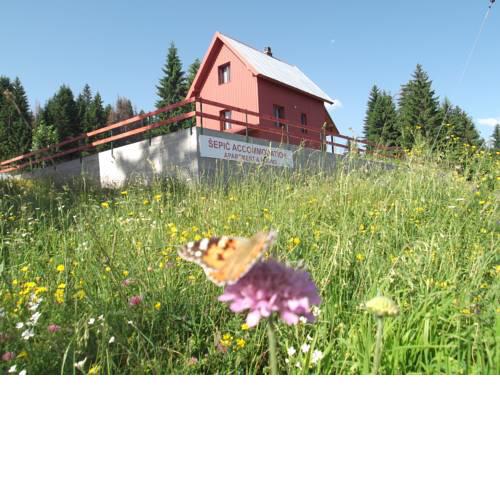 Šepić Accommodation