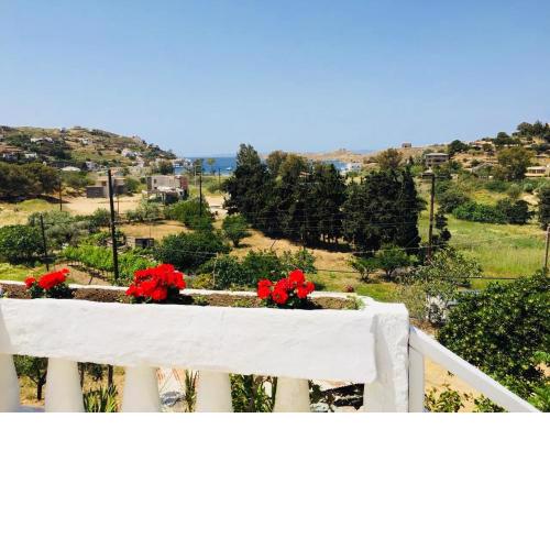 Serene Villa DalAretso
