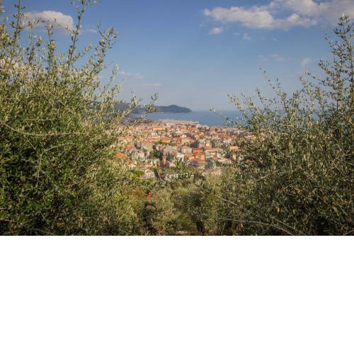 Settentrione Apartment