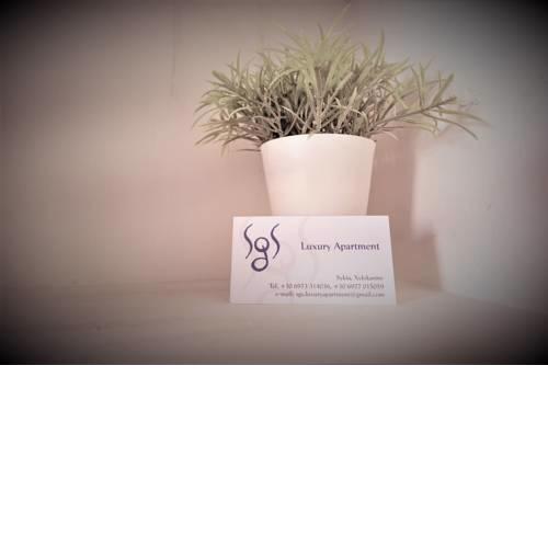 SgS Luxury Apartment