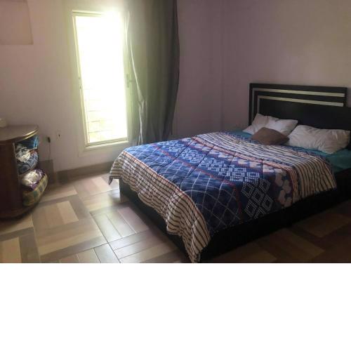 Shared Appartment