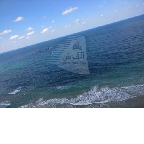 Shark Apartment Sidi Bishr