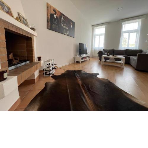 Shelby apartment