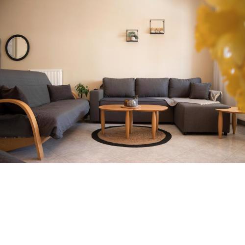 Silene Luxury Apartment