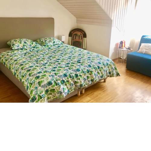Sion Centre - chambre privée