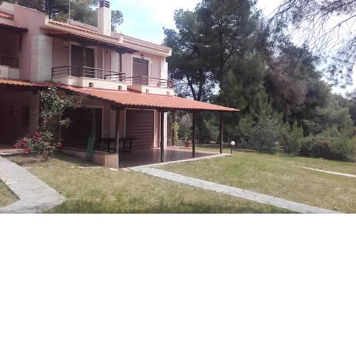 Sithonia Alekos Luxury Experience
