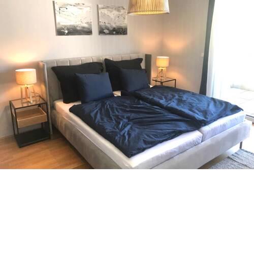 Skandi Apartment Lentia City