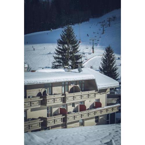 SKI-IN & SKI-OUT Hotel Sonnleiten