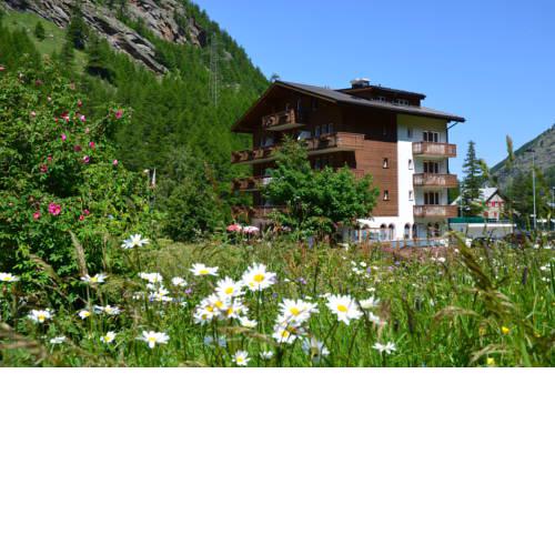 Ski-In/Ski-Out Hotel Sport