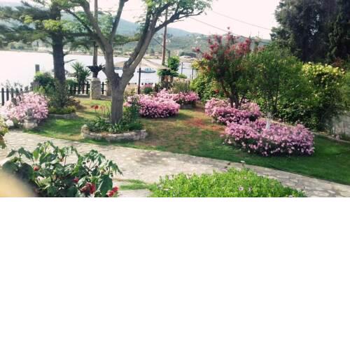 Skiathos Riviera Studios