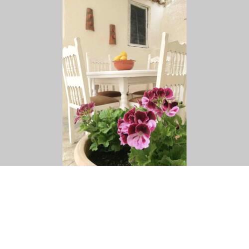 Skiathos Town House