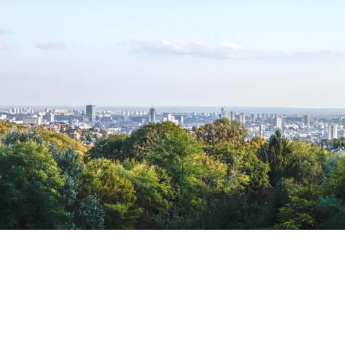 Sky View