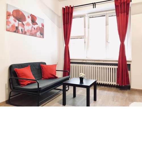 Small renovated flat city center