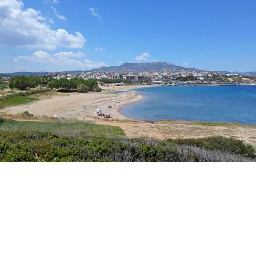 Small studio with yard, in front of a sandy beach!