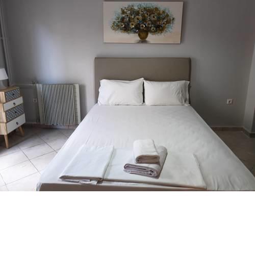 Smart Luxury Apartment