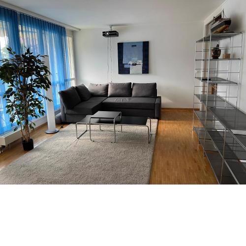SmartHome Oerlikon