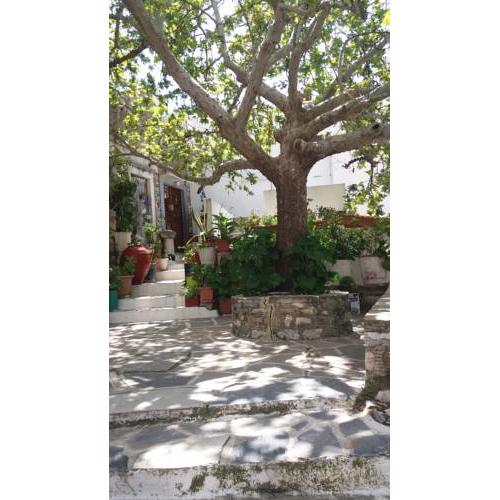 Smilis village house