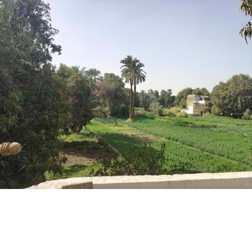 SOBHY KANA Guest House