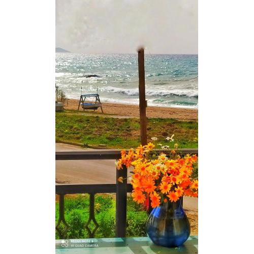 Socrates sea view
