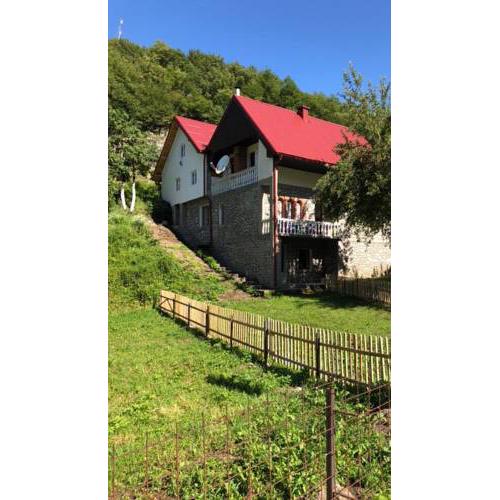 Sofia Guest House