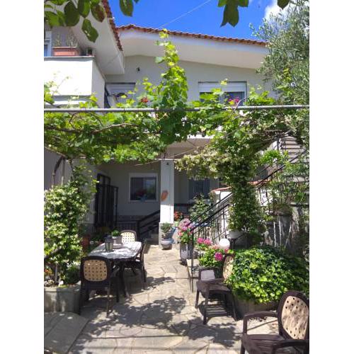 Sofia's Cottage