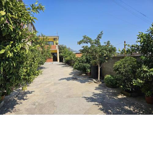 Sokol Guest House