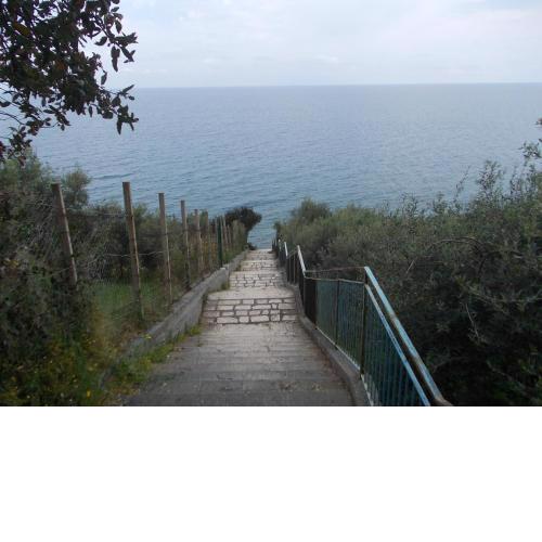 Soleli