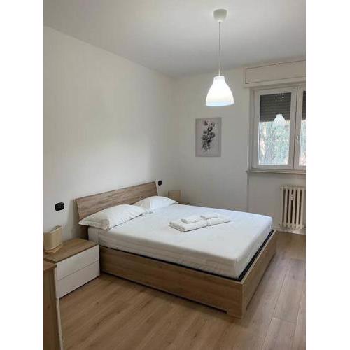 Solution Home Bisceglie