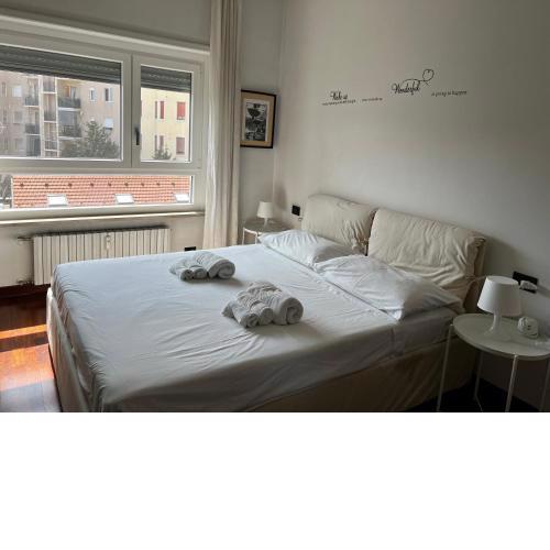 Solution Home Solari