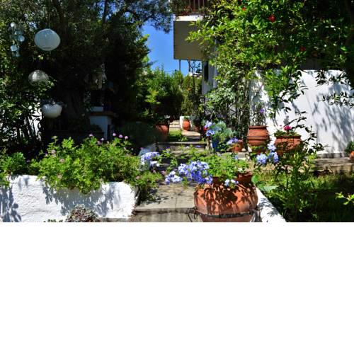 Sonia's House with Garden