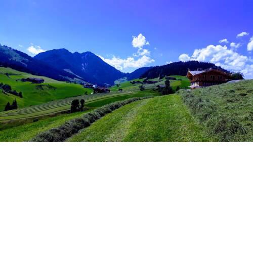 Sonnenappartements Madlstatthof