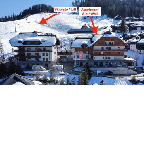 Sonnleitn AlpinWell Appartment (Ski in&out + Wellness)