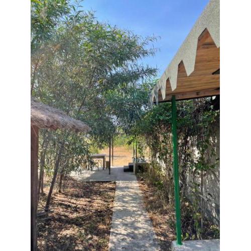 Sota Beach Rooms