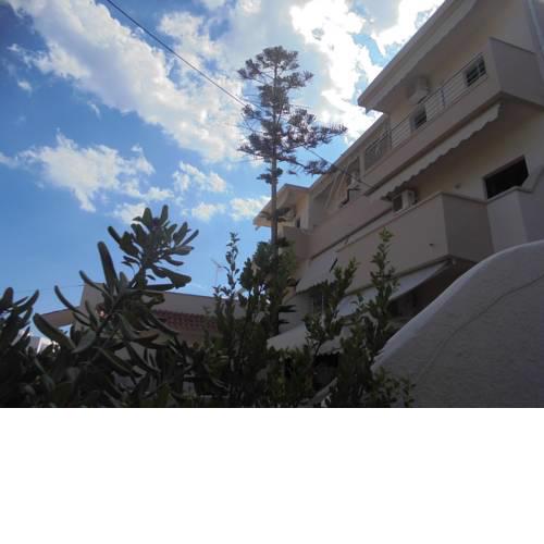 Soula Apartments & Studios