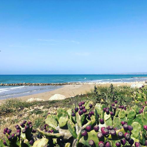 South Sicily Beach