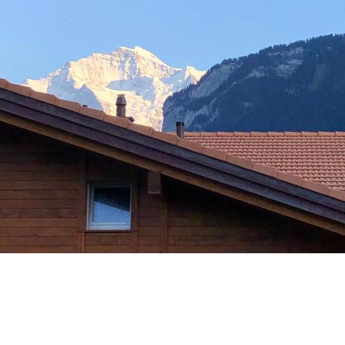 S&P Mountain View Apartment 1