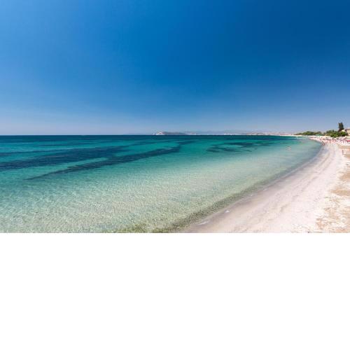 Spacebility Beach
