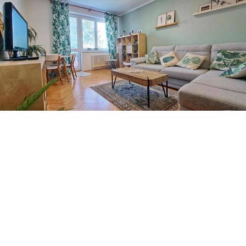 Spacious 1 bed flat in Havířov