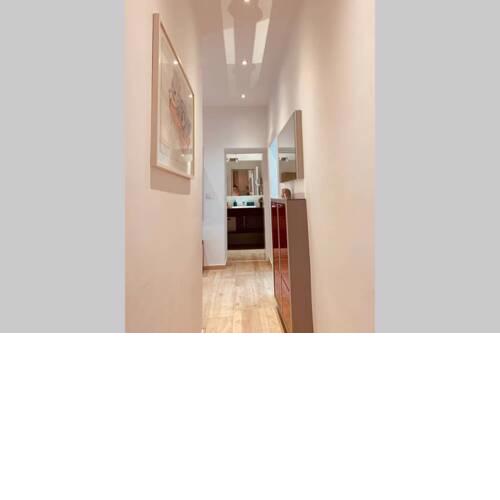 Spacious 1 BR City Apartment Belvedere